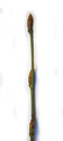 hornbeam (carpinus betulus), buds slightly bent, slender, egg-shaped or acute, cone-shaped, close-fitting to the twig. 2009-01-26, Pentax W60. keywords: weissbuche, charme, carpino bianco
